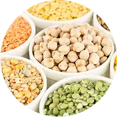 Pulses